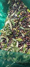 reti per raccolta olive