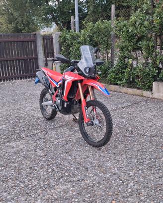 crf 300 rally
