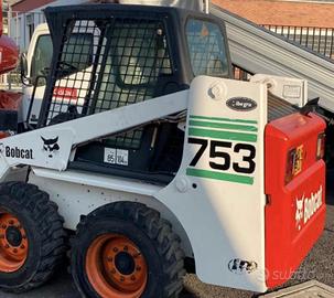 Bob Cat mini pala ed escavatore noleggiami