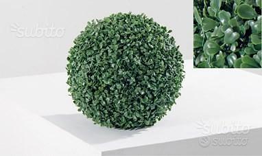 Sempreverde foglia bosso diametro cm.21