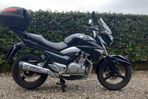 Suzuki Inazuma 250 - 2014