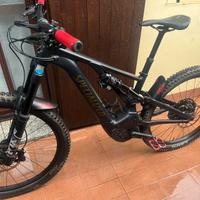 Specialized turbo levo