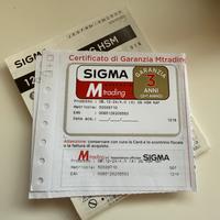 Sigma Art 12-24 f4 DG