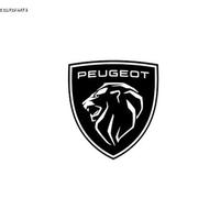 Kit airbag per auto PEUGEOT dal 2013 al 2023