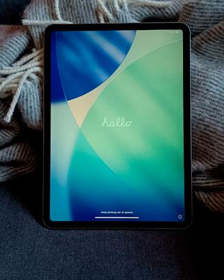 iPad Pro 11" 512GB WiFi+Cellular