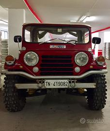 Jeep preparata mutt