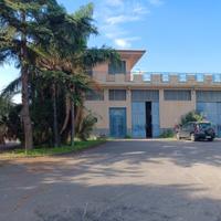 Capannone mq 800 con piazzale da mq 4000