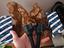 Immagine 1