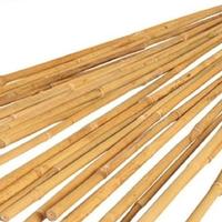 canne da pomodori o altro 40 pezzi