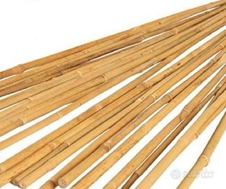 canne da pomodori o altro 40 pezzi