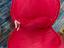 Immagine 5