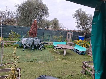 Terreno agricolo con accessori