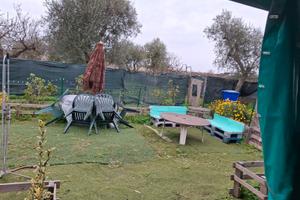 Terreno agricolo con accessori