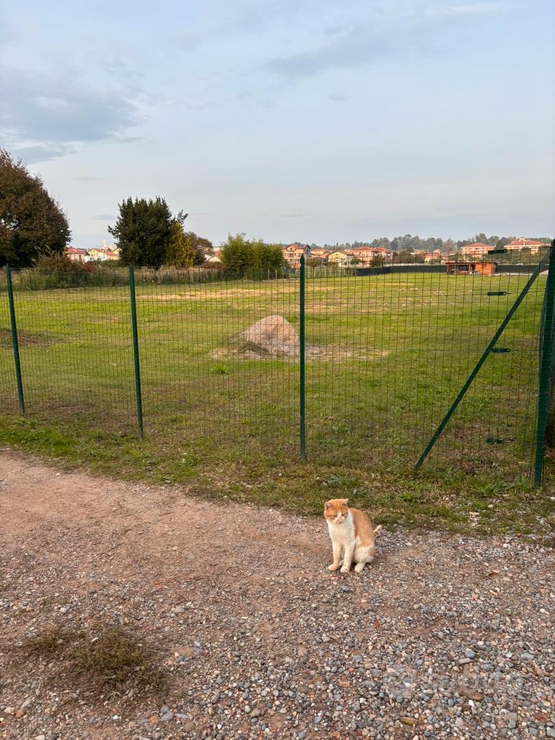 TERRENO NON EDIFICABILE - 4.000 mq - Vista 2