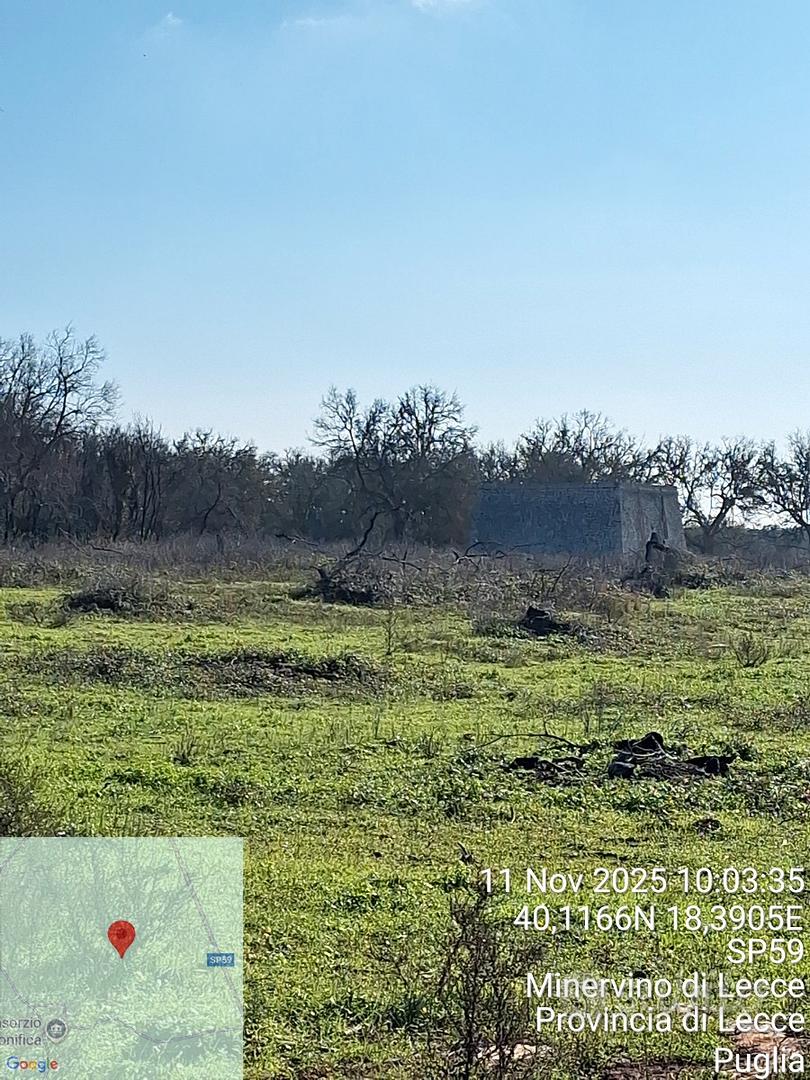 Terreno agricolo uliveto - Vista 2