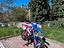 Immagine 5