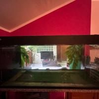 Acquario
