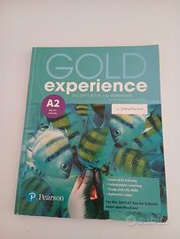 GOLD EXPERIENCE STUDENT'S BOOK AND WORKBOOK