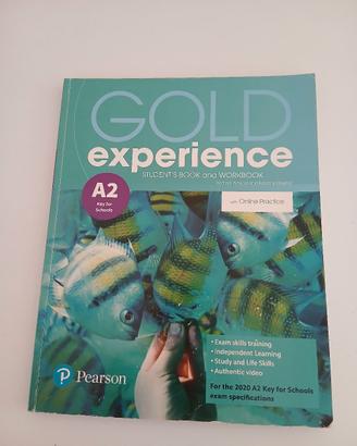 GOLD EXPERIENCE STUDENT'S BOOK AND WORKBOOK
