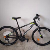 MTB 24