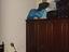 Immagine 2