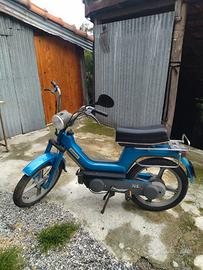 Piaggio Altro modello - 1981