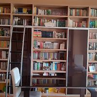 Libreria con annesso mobile vetrinette