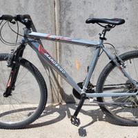 mtb grigia Girardengo, più copertoni doppi 
