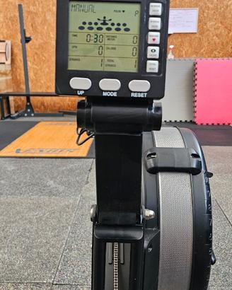 Rower professionale Bear Fitness