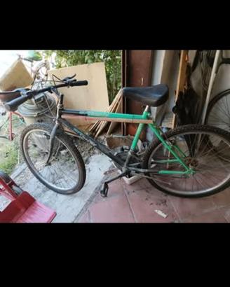 Mountain bike