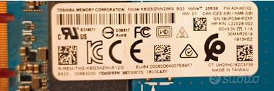 Hard Disk SSD M2 256mb