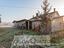 Immagine 7
