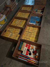 Enorme collezione Disney