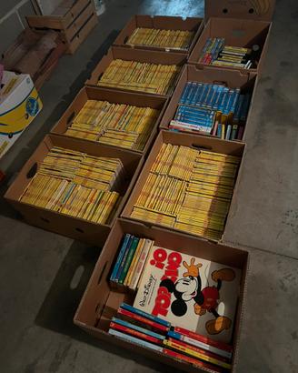 Enorme collezione Disney
