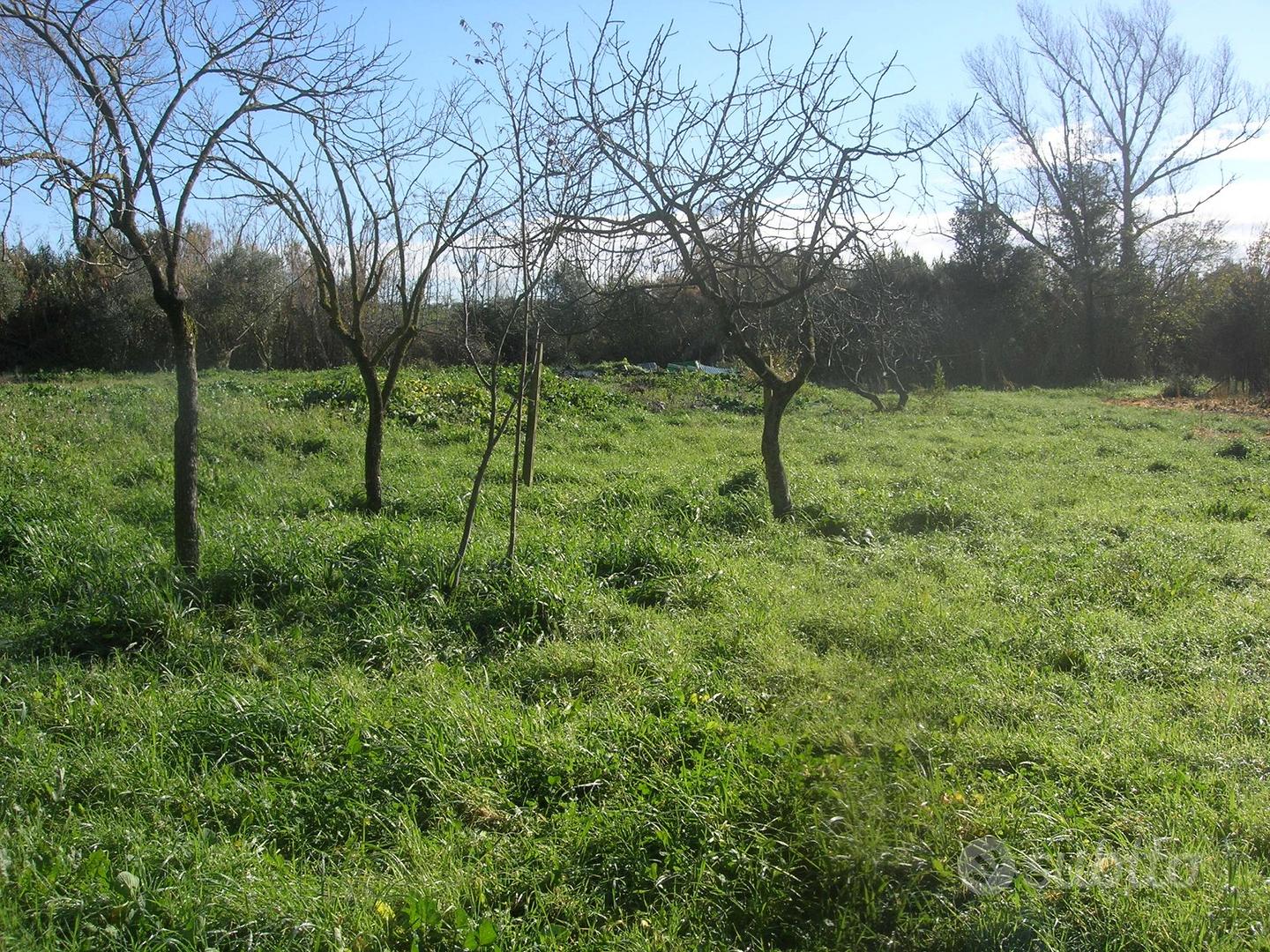 Terreno agricolo - Vista 3