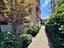 Immagine 19