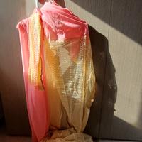 Sari indiano, abito, vestito tradizionale india