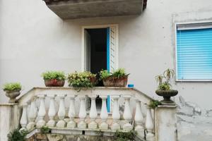 2 appartamenti piu'sottotetto piu'giardinetto