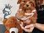Immagine 5