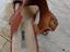 Immagine 3