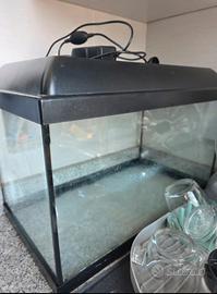 Acquario per pesci, tartarughe o come