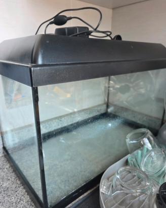 Acquario per pesci, tartarughe o come