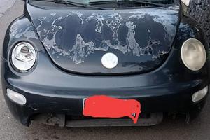 VOLKSWAGEN Maggiolino - 2006