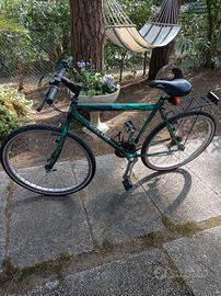 bicicletta mountain bike Galant cambio Shimano