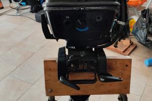 evinrude 4cv 2 tempi