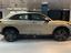 Immagine 8