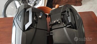 borse laterali Triumph Tiger 