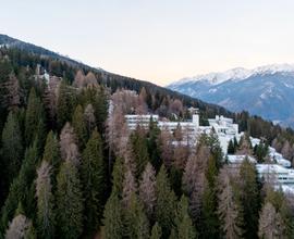 Estate in trentino in val di sole