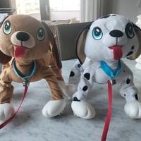 cani con guinzaglio