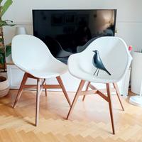 Coppia Sedie Ikea Fanbyn